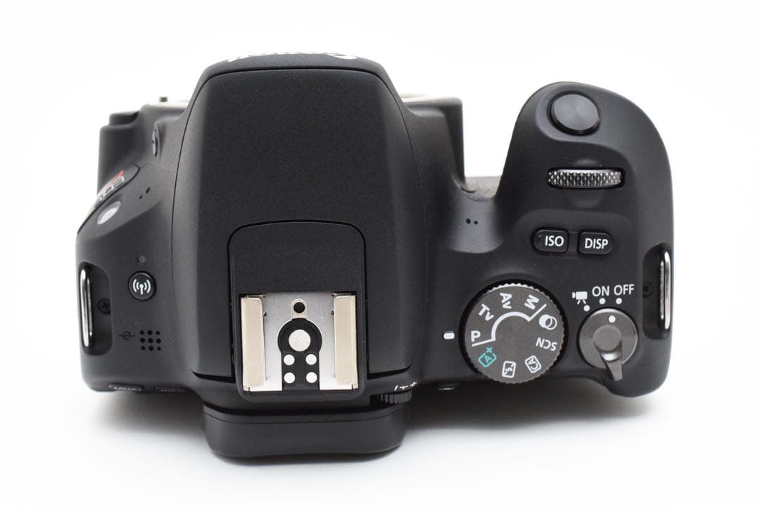 Canon EOS Kiss X9標準&望遠&単焦点トリプルレンズセット