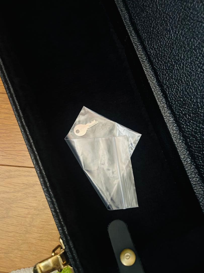 Schecter シェクター純正ハードケース（廃盤品）G&G製 ほぼ未使用