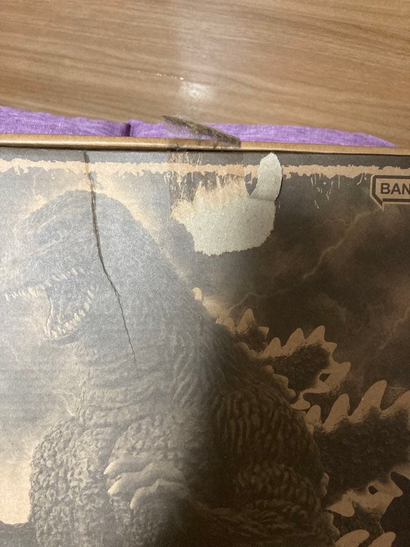 エクスプラス東宝30cmシリーズ ゴジラ1993発光Ver. 少年リック