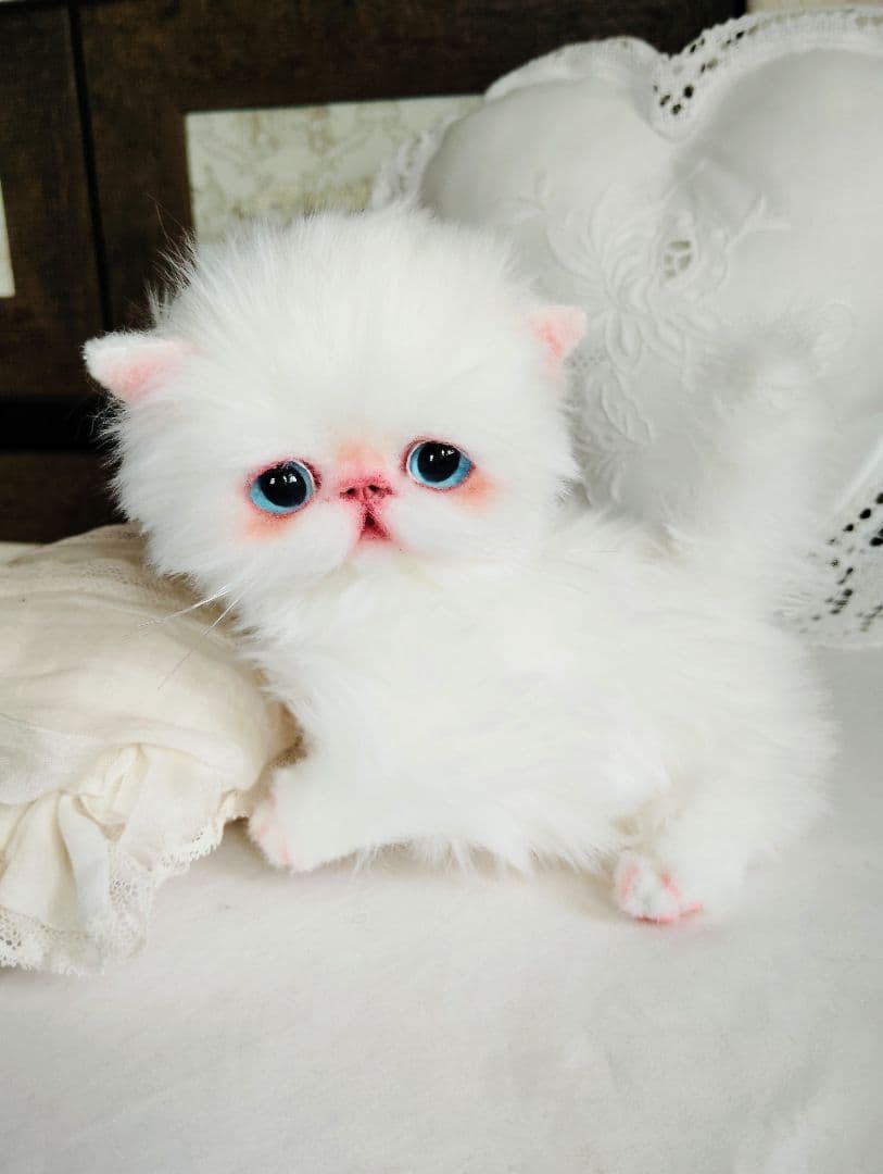 よちよち〜短足♡ころころボディ♡エキゾチック子猫ちゃん♡アートドール♡ぬいぐるみ