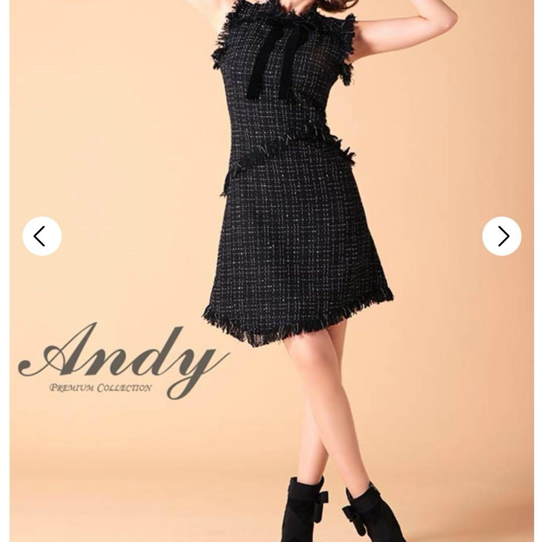 Andy フリンジノースリーブツイードドレス