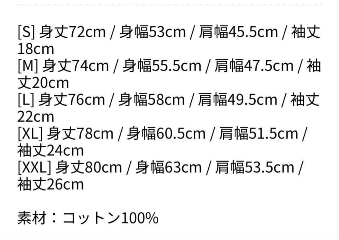 レディーガガ　コンサートTシャツ