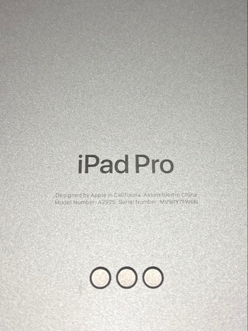 Apple iPad Pro M4 13インチ 1TB
