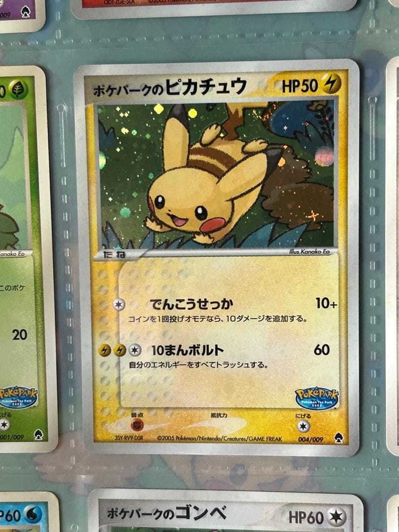 ポケパーク　フォレストシート