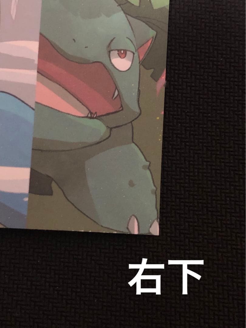 希少　ポケモン　御三家　リザードン　カメックス　フシギバナ　ポストカード