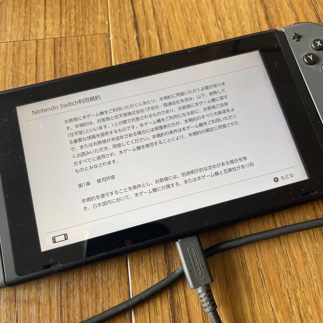 ニンテンドースイッチ 任天堂 箱付き ソフト付き