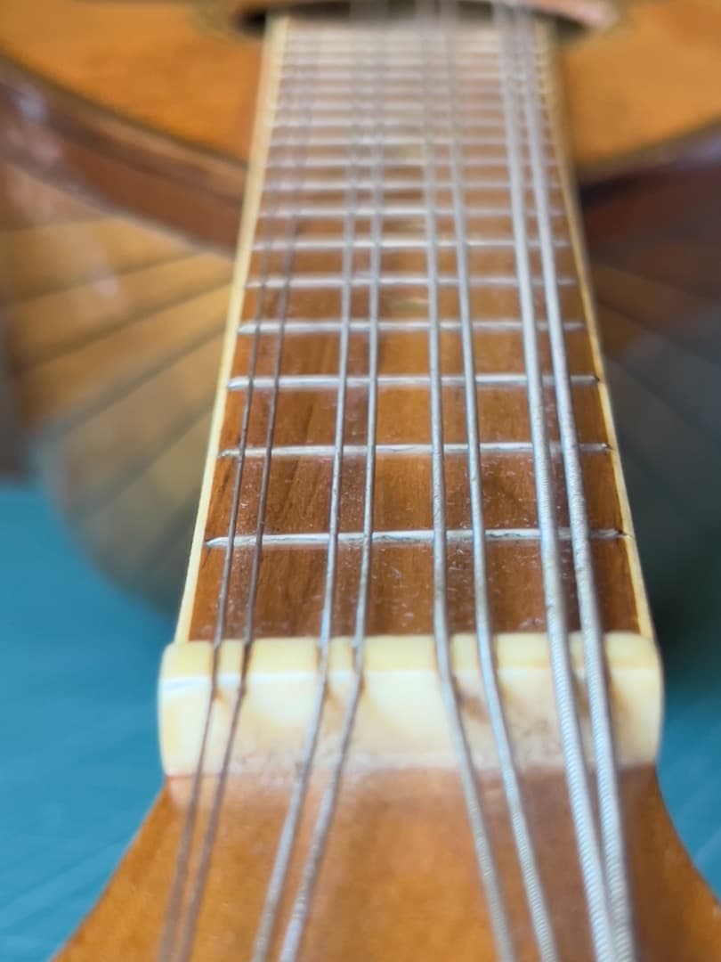 スズキ SUZUKI マンドラ