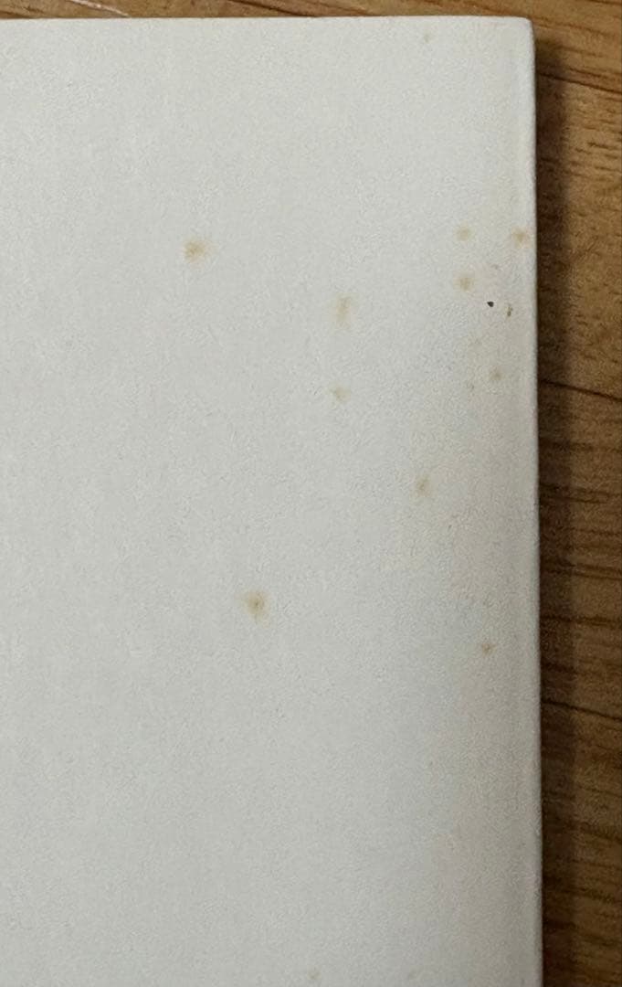 NEWSUMMARYa-Ya-yah 2005 パンフレット