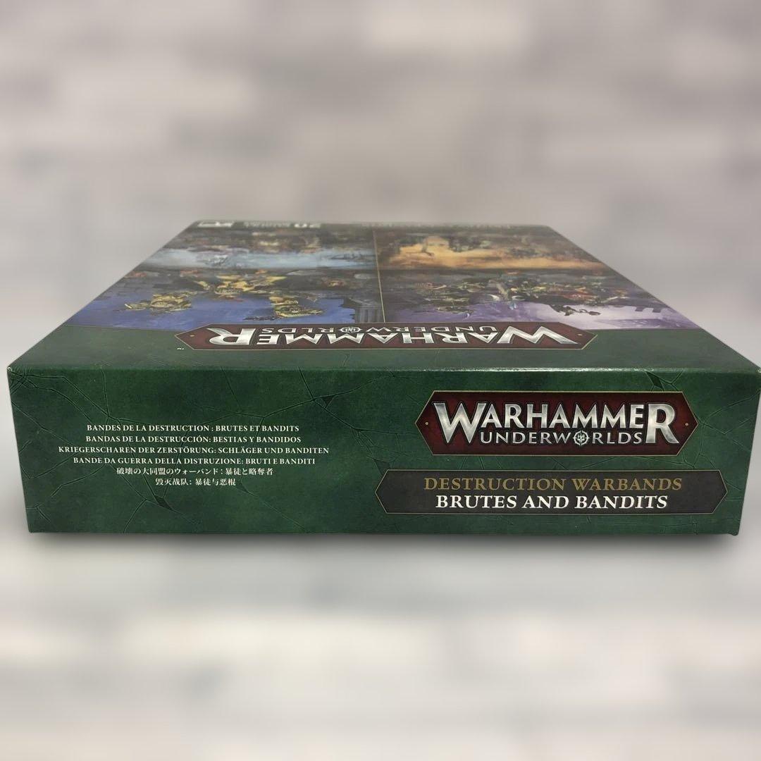 o550 暴徒と略奪者