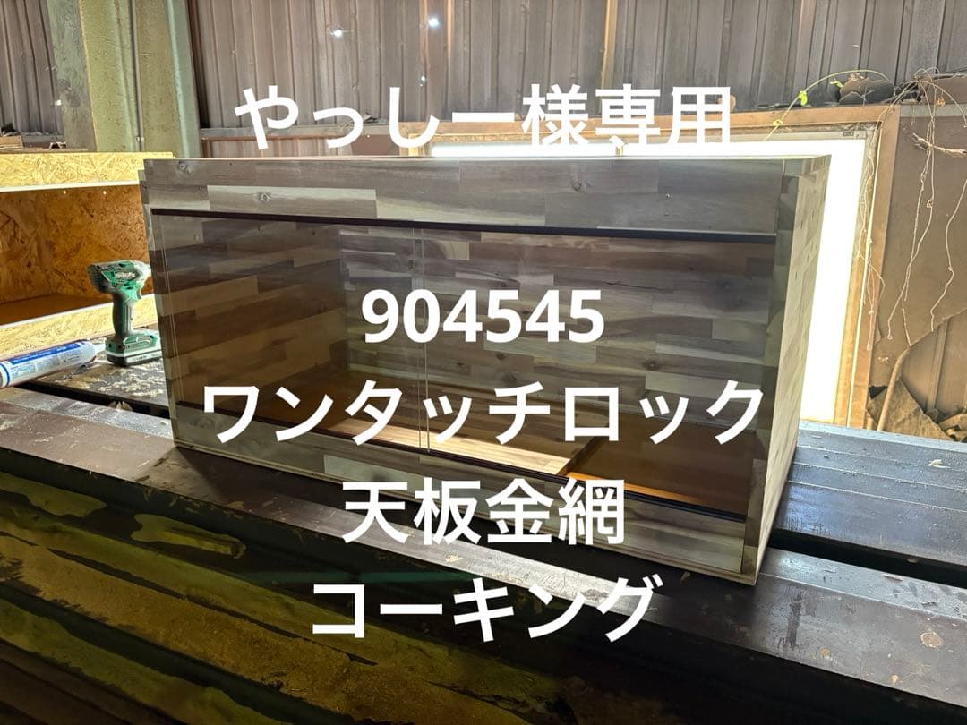 やっしー　アカシア904545