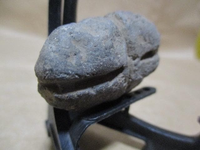 縄文土器　小動物？昆虫？珍品　箱付き　R99-2