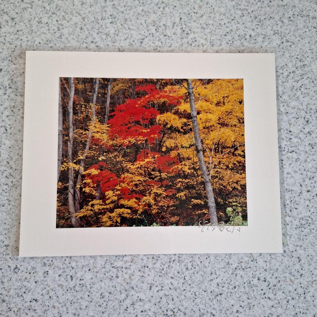 竹内敏信　風景写真　サイン入り