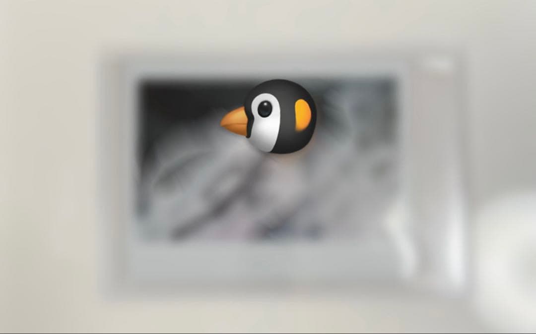 ソンフン サイン チェキ　DESIRE:UNLEASH enhypen