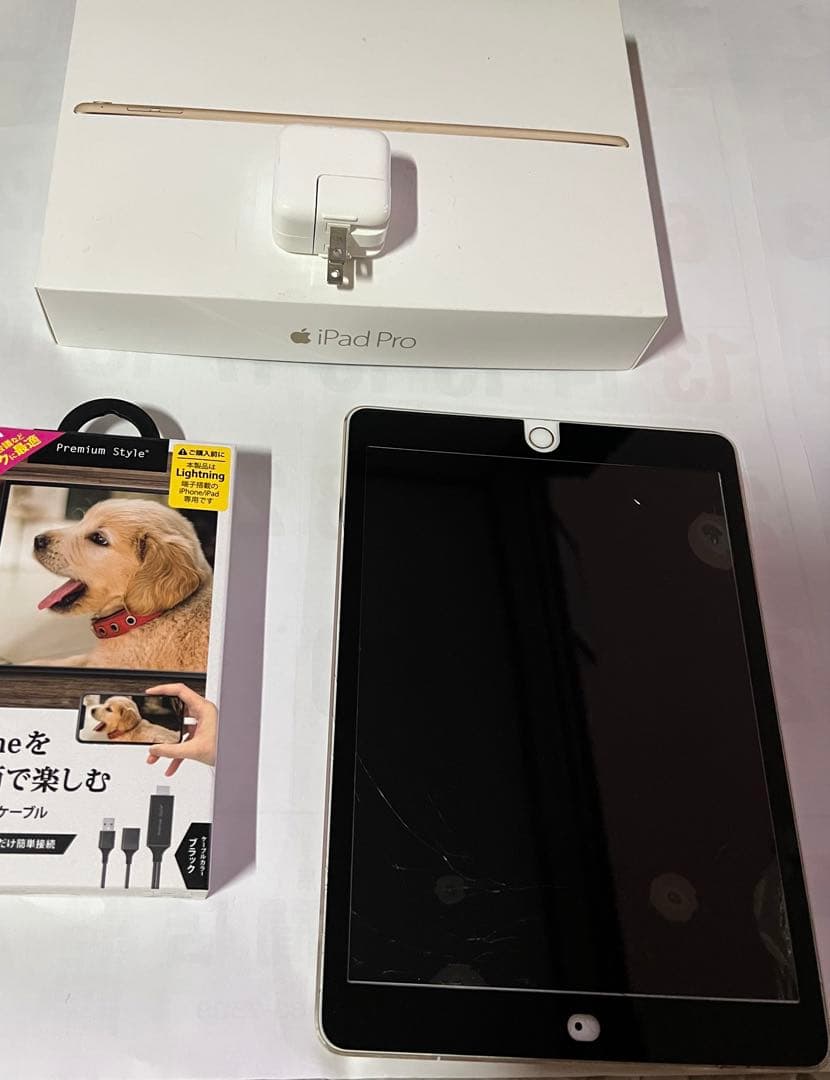 iPad Pro 9.7インチ 256GB Wi-Fiモデル 訳あり品 HDMI