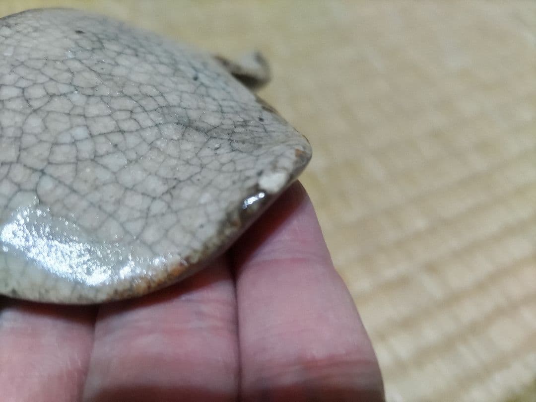 志野釉　御深井焼　向付　本金直し