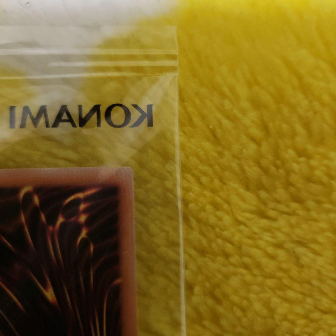 雷*様 遊戯王　Dragon of Illumination　日本選手権　プロモ