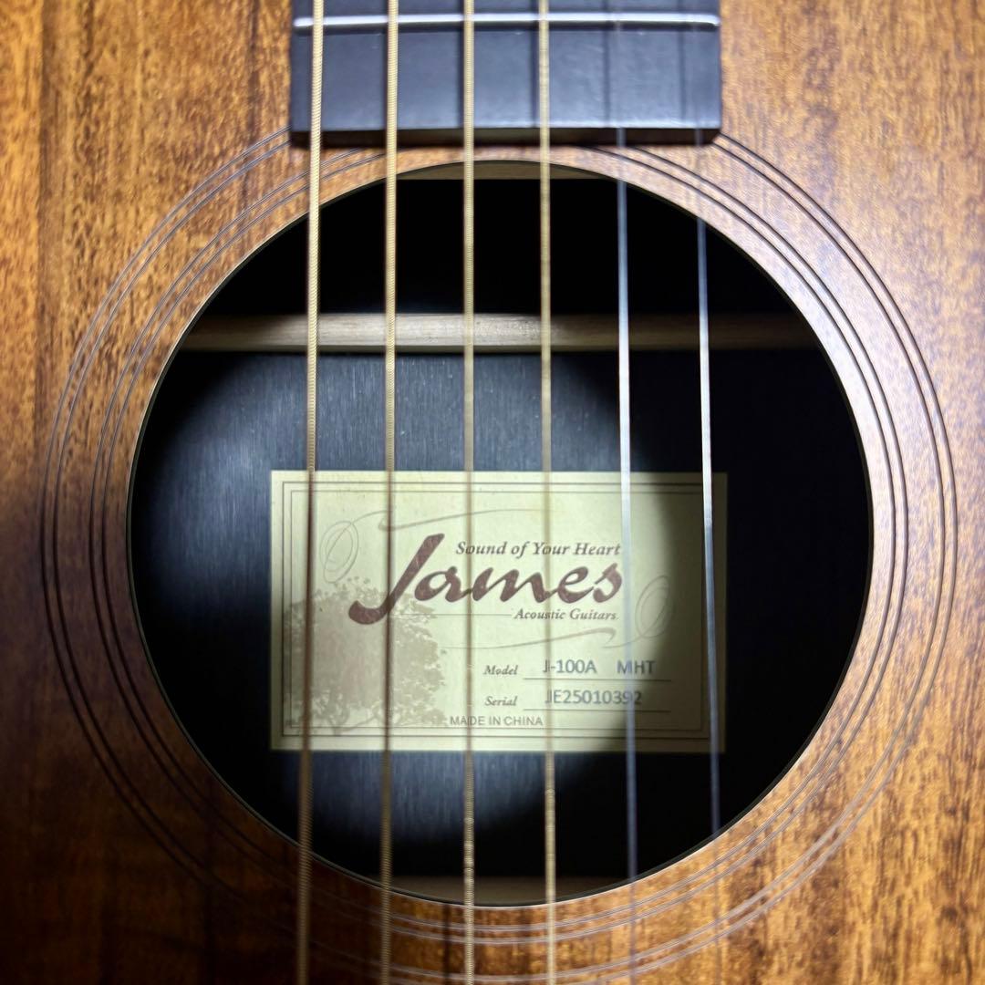 【美品】James アコースティックギターJ-100A MHT ギグケース付属