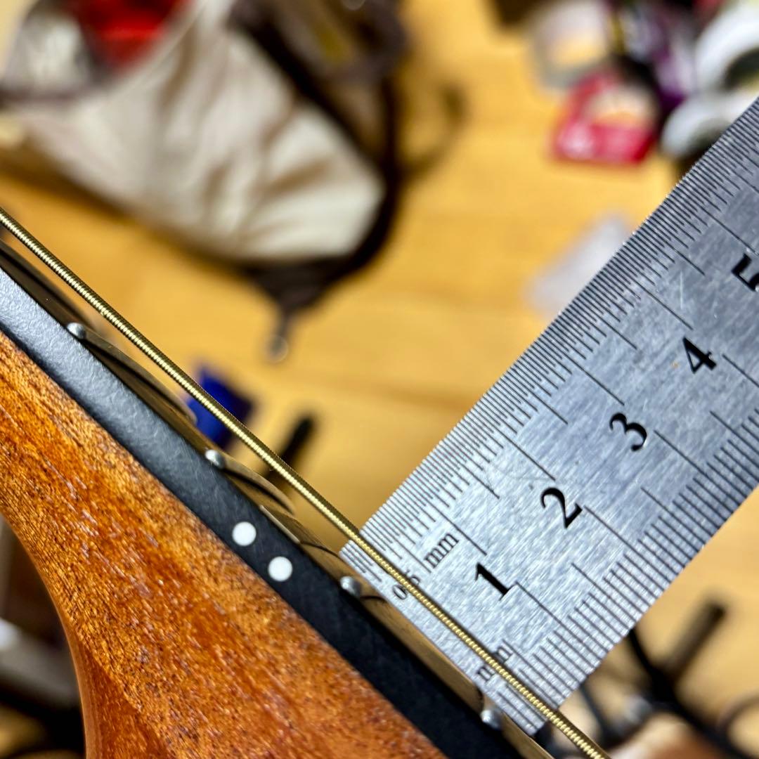 【美品】James アコースティックギターJ-100A MHT ギグケース付属