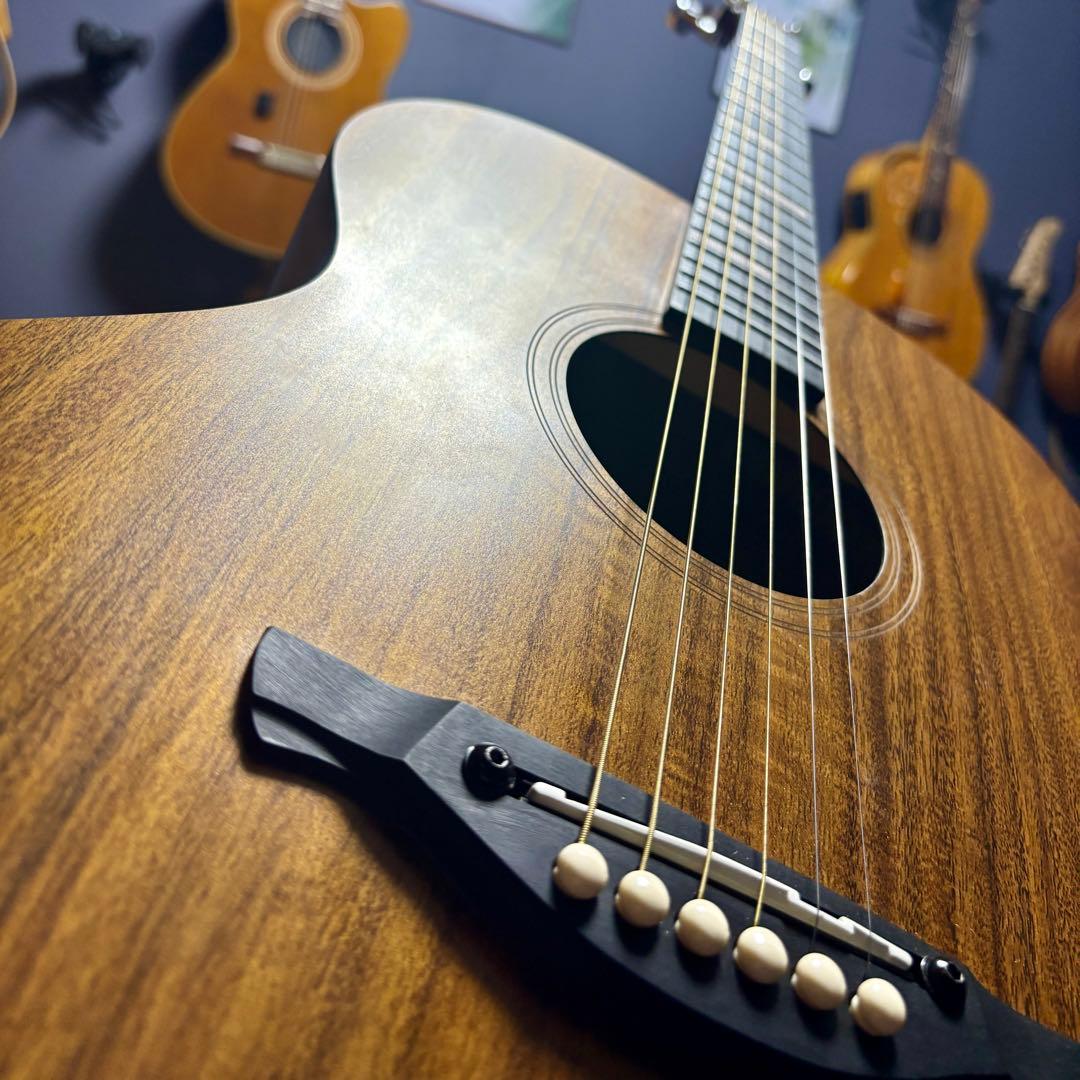 【美品】James アコースティックギターJ-100A MHT ギグケース付属