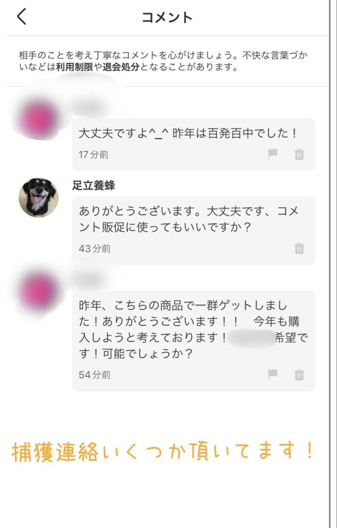 ミツバチ誘引剤 4つセット ミツバチ誘引ルアー ニホンミツバチの誘引に