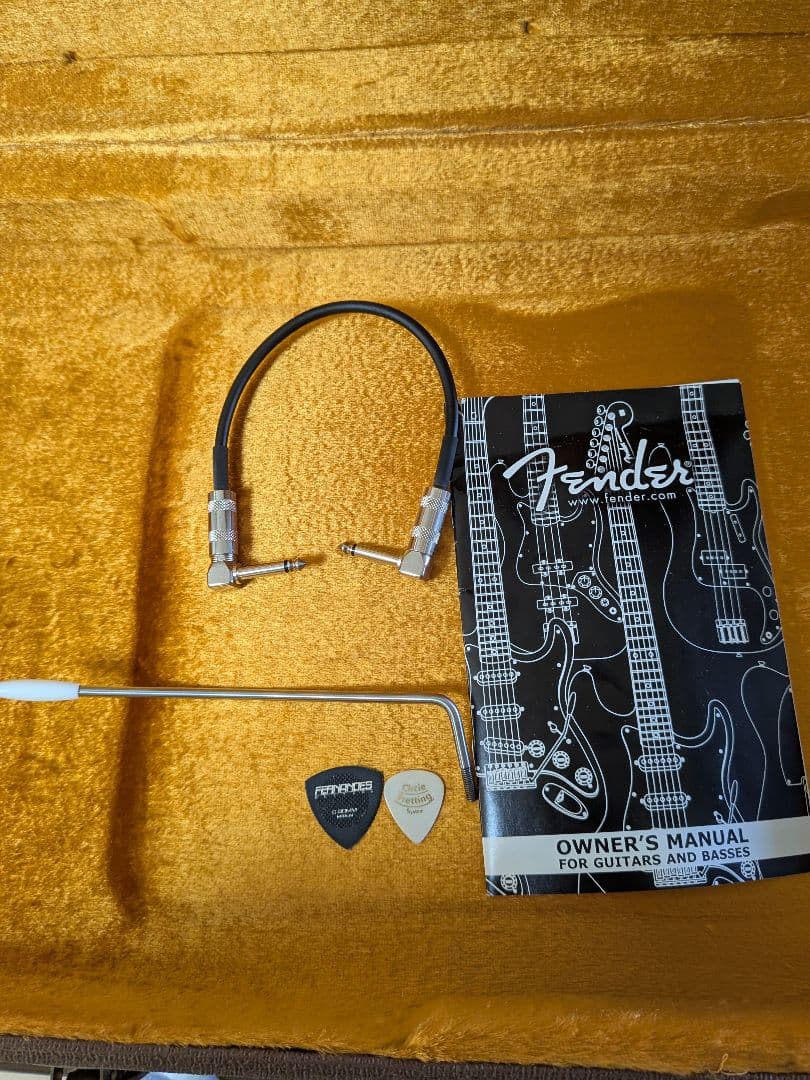 Fender Mexico Jazzmaster　ハードカバー