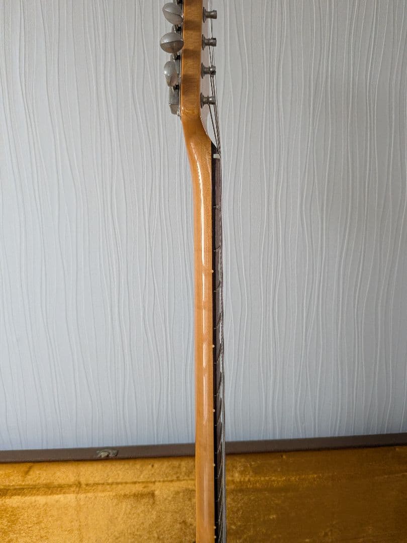 Fender Mexico Jazzmaster　ハードカバー