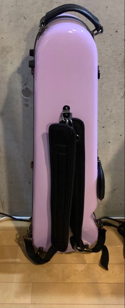 J.W.Eastman ウィステリア　バイオリンケース&バイオリンセット