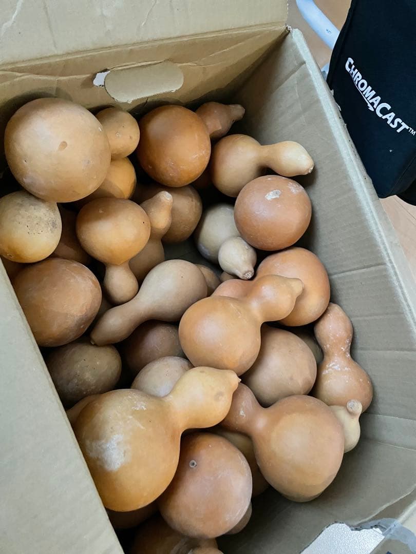 【40個】ひょうたん　瓢箪　千成瓢箪　まとめ売り　無病息災　置物　縁起物(I)