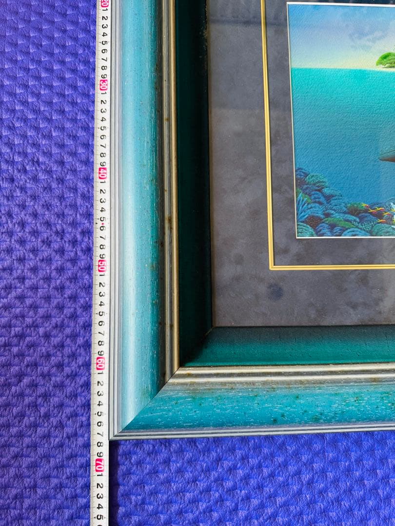 ダレル・フック　原画　オーストラリア　グレートバリアリーフ