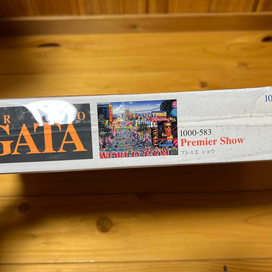 ヒロヤマガタ 1000ピース ジグソーパズル プルミエショウ 新品未使用