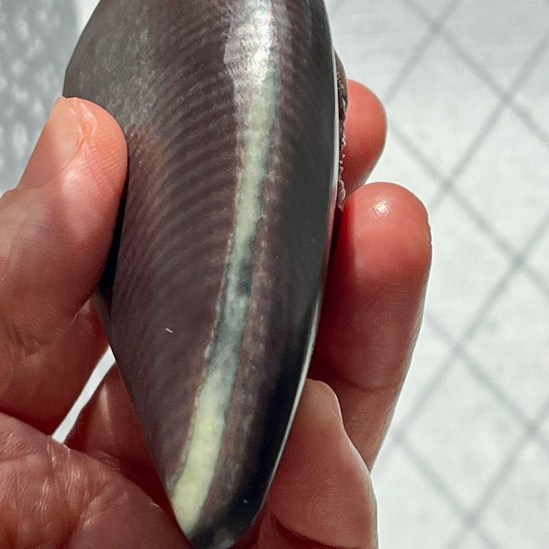 レア 天然石 パープル ローブジェイド 硬玉 ジェダイト 彫刻 魔除け 希少品