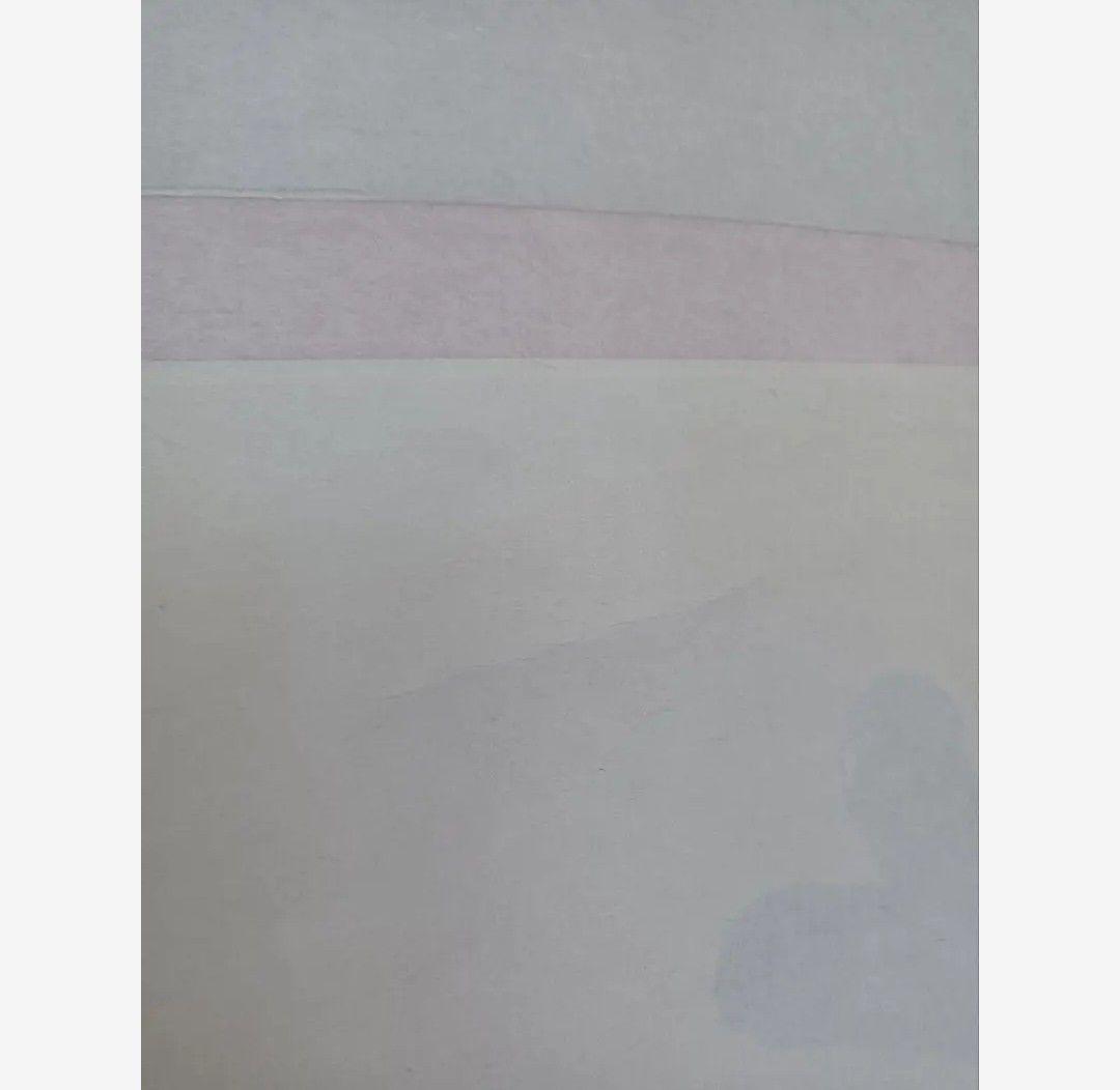 極美品 裕堂 軸 六字名号 南無妙法蓮華経 極楽浄土 仏 美術