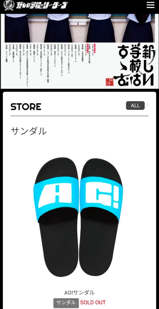 メンバー愛用 新しい学校のリーダーズ　公式サンダル LLサイズ　激レア