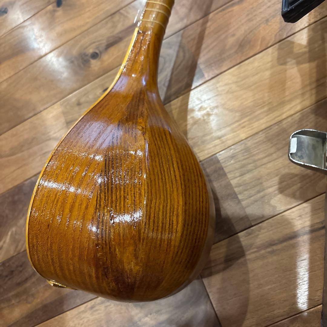 セタール　イラン　イスファハン　楽器　弦楽器　4弦