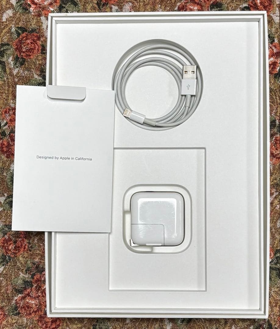 【本日発送】✨シーズー✨