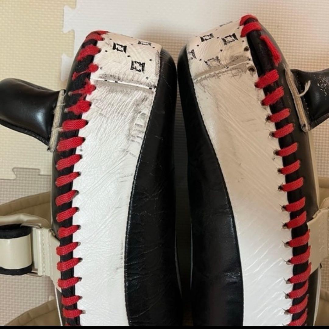 キックボクシング　Fairtex キックミット