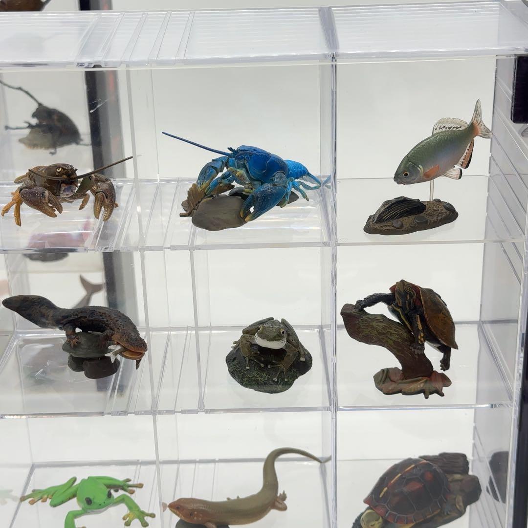 希少品 小学館 週刊 日本の天然記念物 52体セット まとめ売り