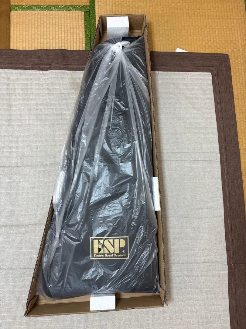 バンドリ　MyGO!!!!! ギター　千早愛音　Ultratone Anon