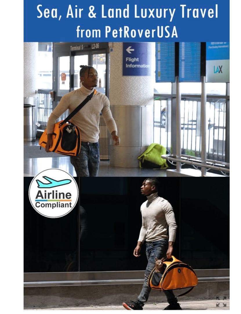 【輸入品】ペットカート※直接取りに来ていただける方のみ