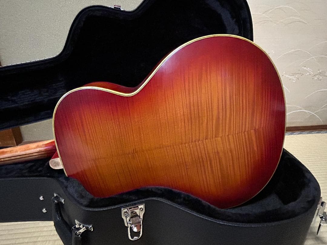 激レア 希少 カールヘフナー　496　アコギ ヴィンテージ