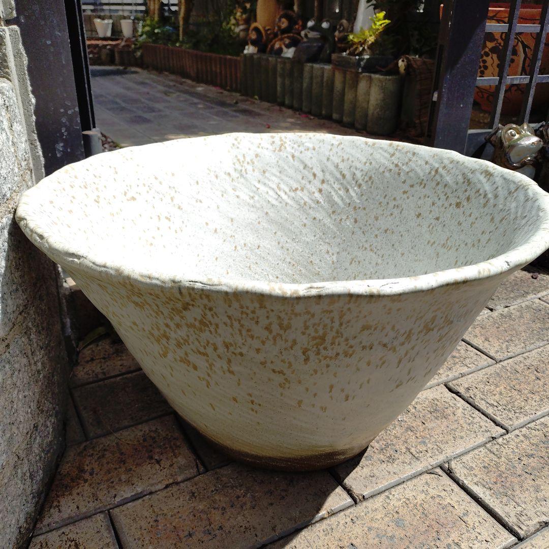 信楽焼　手作りめだか鉢　水連鉢　ビオトープ　直径55㌢