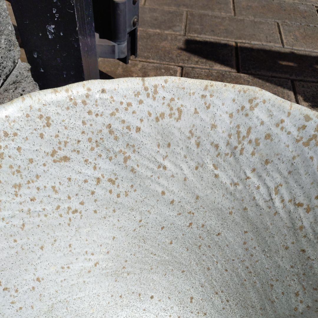 信楽焼　手作りめだか鉢　水連鉢　ビオトープ　直径55㌢