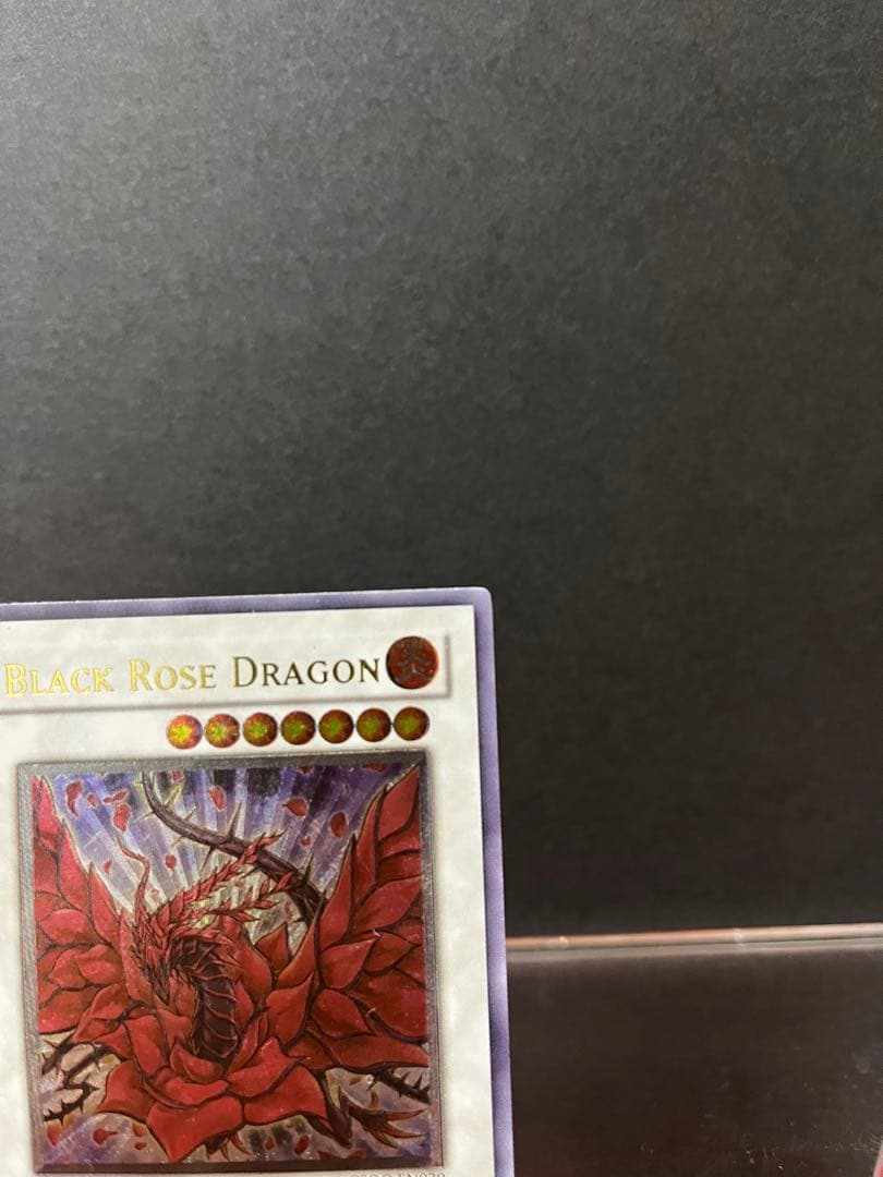 遊戯王　ブラックローズドラゴン　レリーフ　英語版