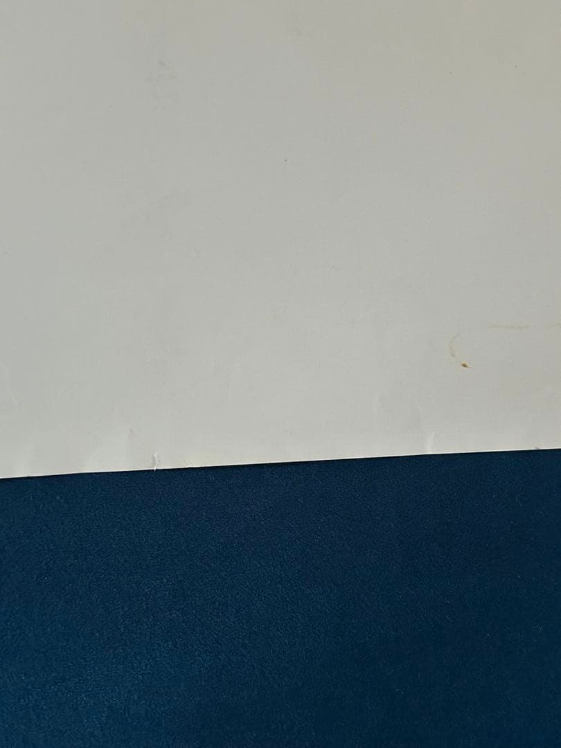 目撃　USオリジナル映画ポスター