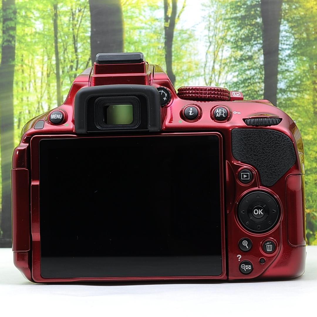 ショット数137枚？！WiFi付き一眼レフ☆ニコン D5300+AF-Pレンズ