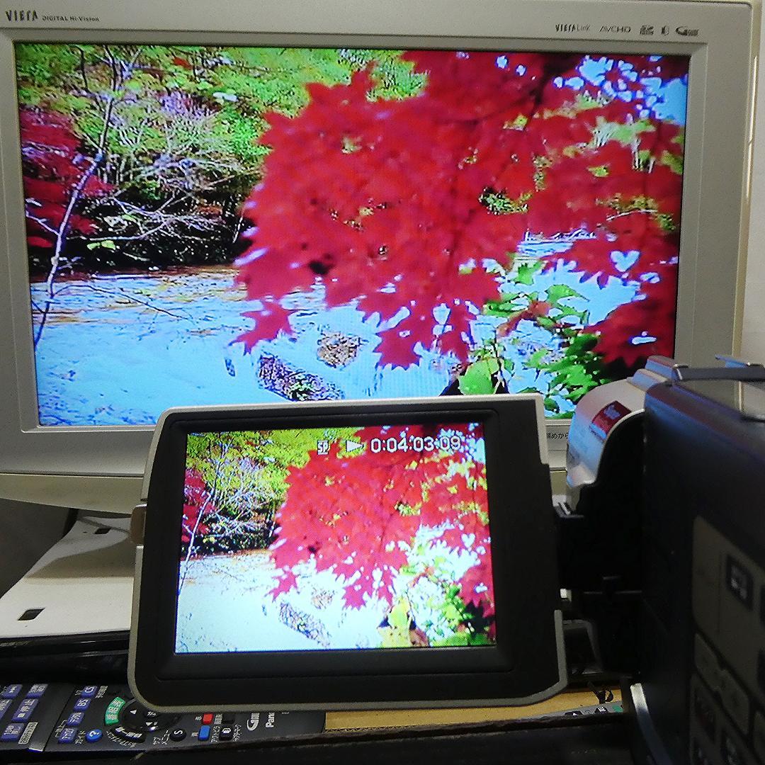 動作品ソニー DCR-TRV17 Mini DVビデオカメラDVDダビングに最適