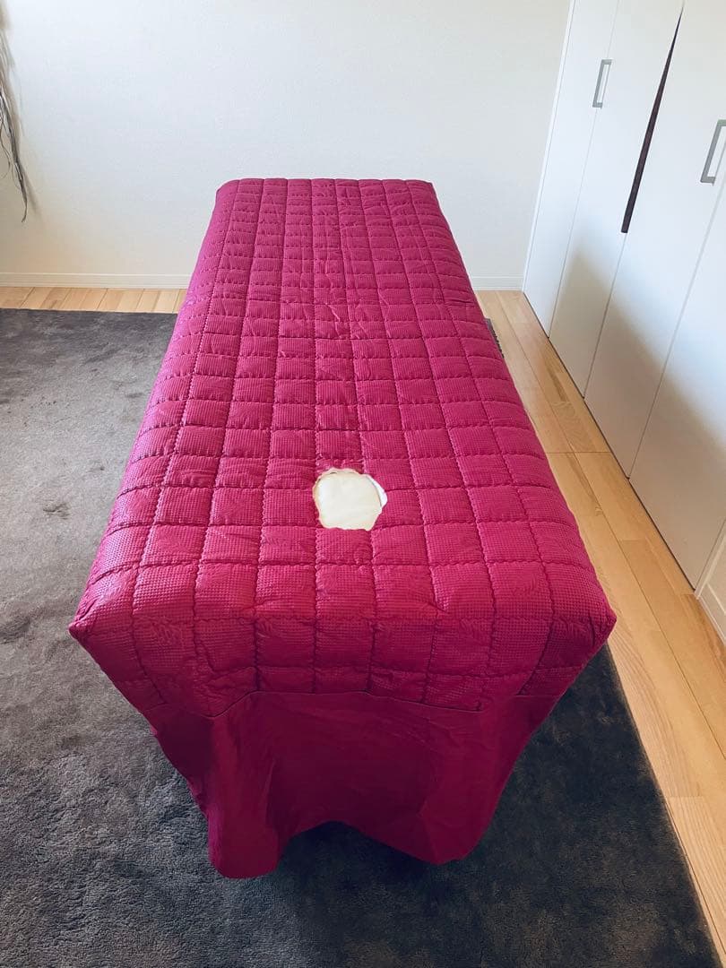 【おまけ盛りだくさん】折りたたみ軽量エステベッド＊引き取り可能な方