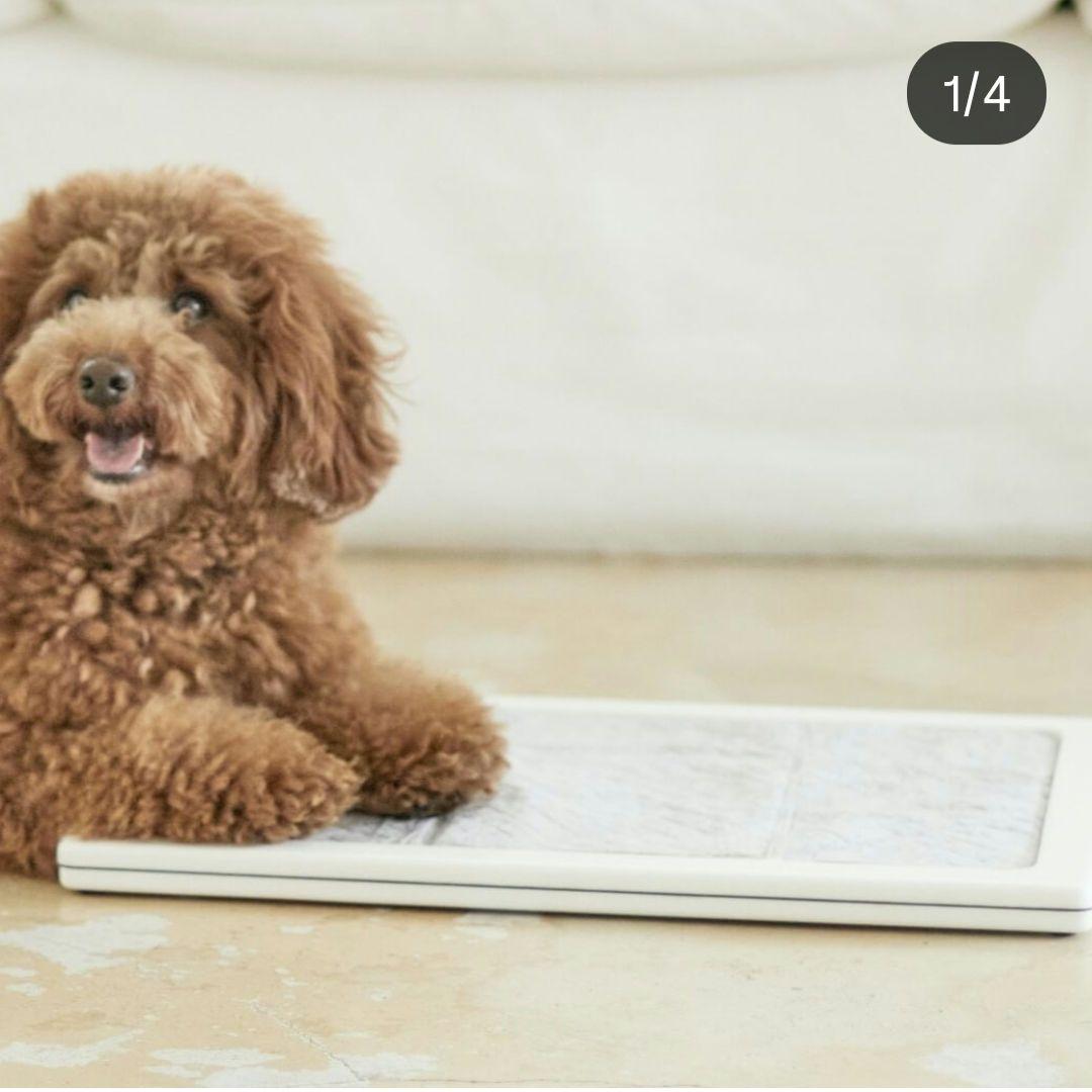 we original 人工大理石 犬 トイレ スカンジナビアン ケージ