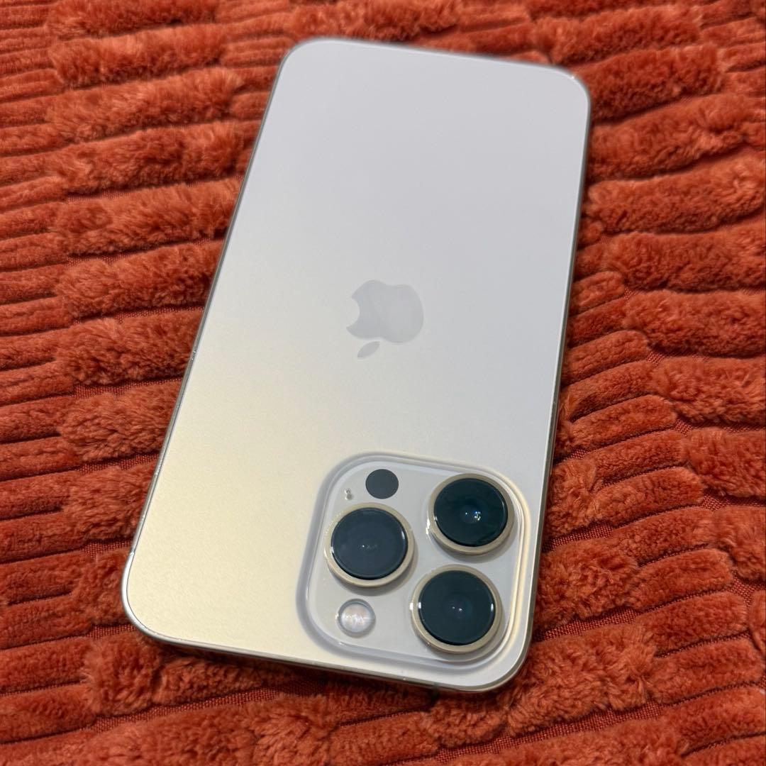 Apple iPhone 13Pro 256GB ゴールド 本体 ジャンク