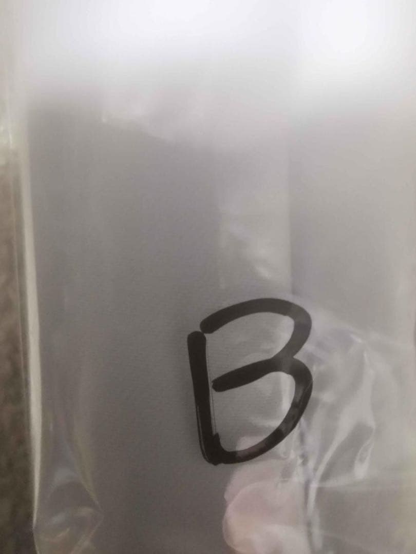 c107 すたじおはんのう　ヤマノススメ　タペストリー